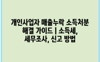 개인사업자 매출누락 소득처분 해결 가이드 | 소득세, 세무조사, 신고 방법